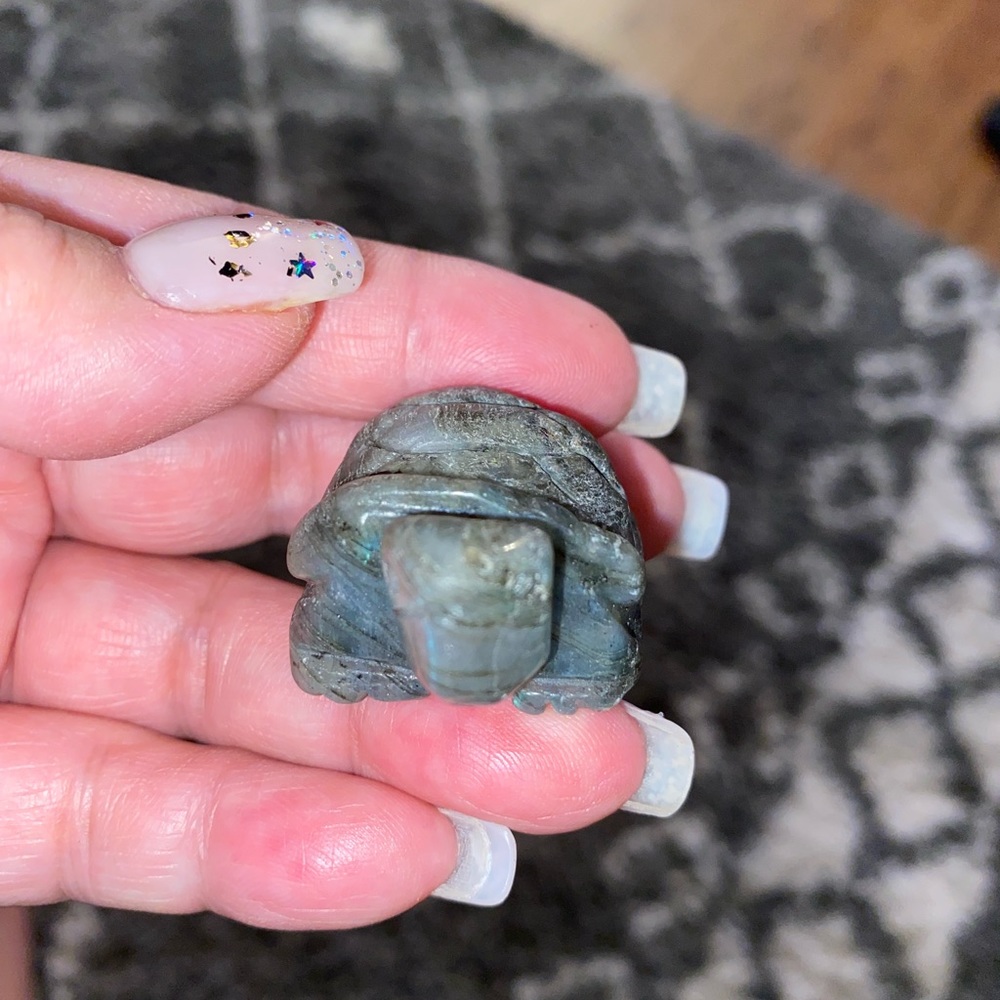 Crystal turtles - Picture 13 of 16